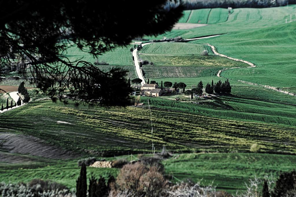 הוילה פיינצה Agriturismo Il Casalino מראה חיצוני תמונה